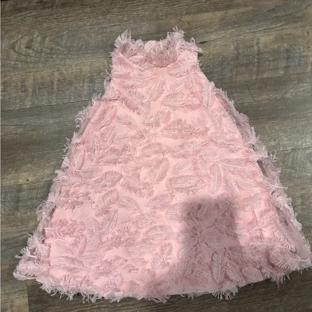 Janie and Jack Orchid Pink Feather Fringe Dress - Picture 5 of 6